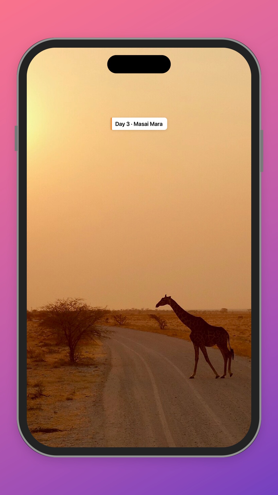 Savanna output: a video framed on an iPhone