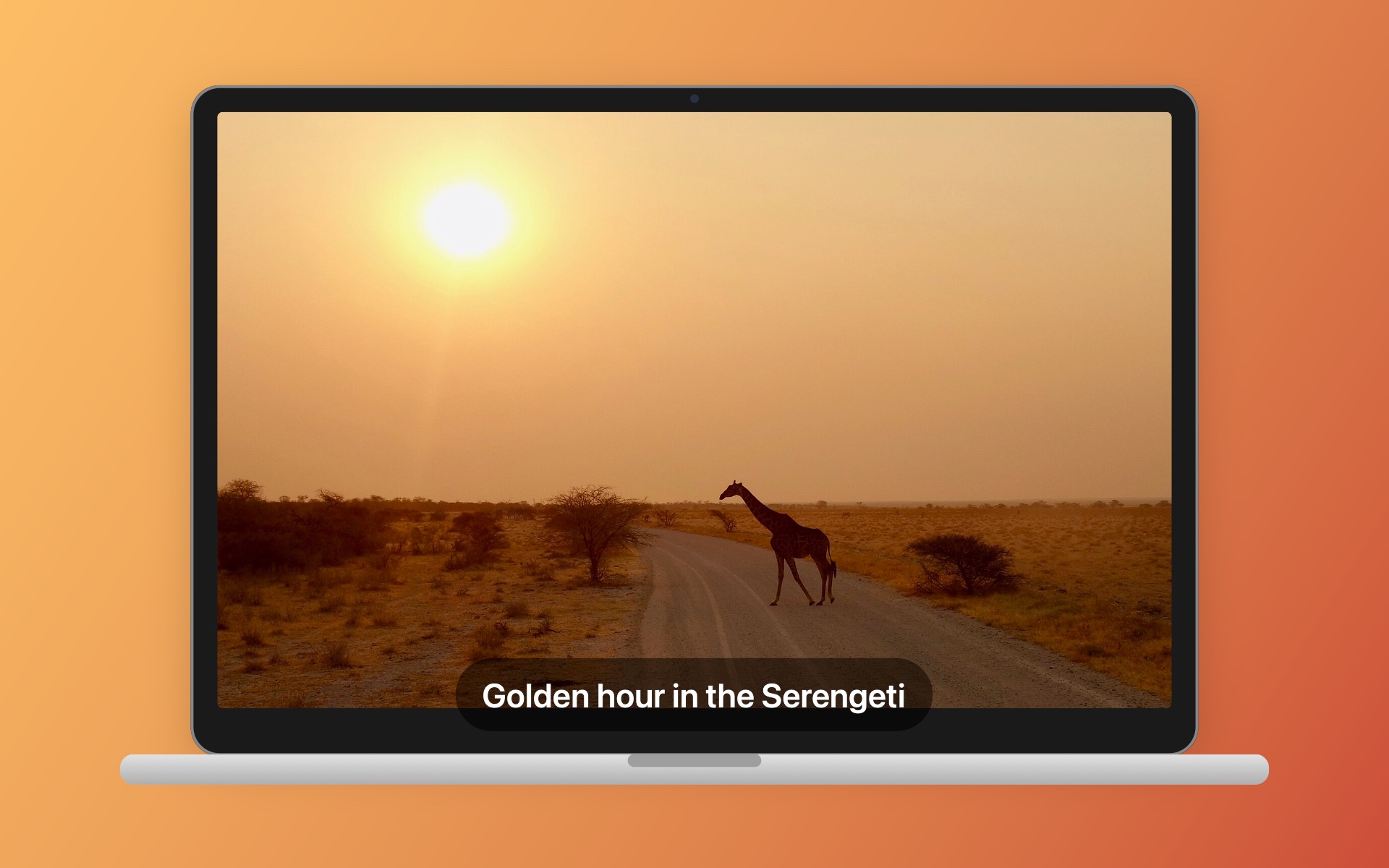 Savanna output: a video framed on a MacBook with a caption