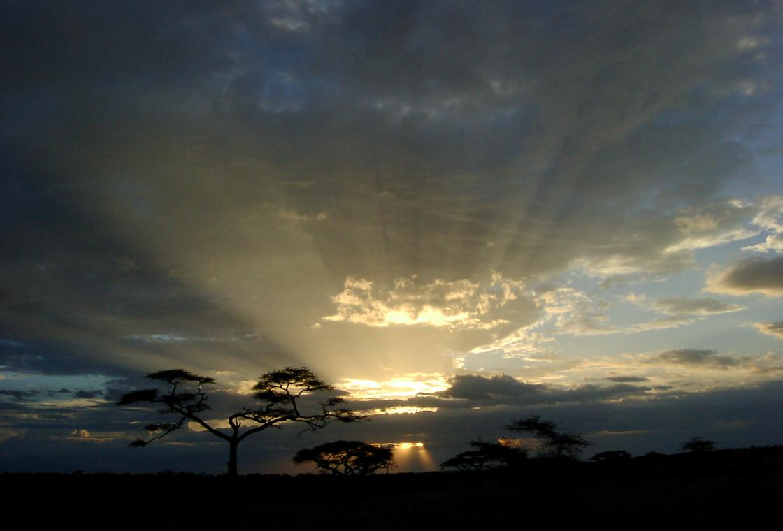 A recording in progress over a photo of a Serengeti sunset